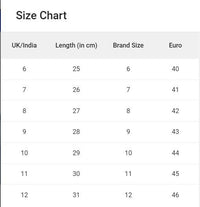 Asian Blade-10 Grey Sports Shoes