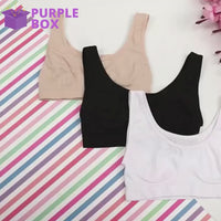 Seamless Silk Padded Bralette Bra Pack of 2